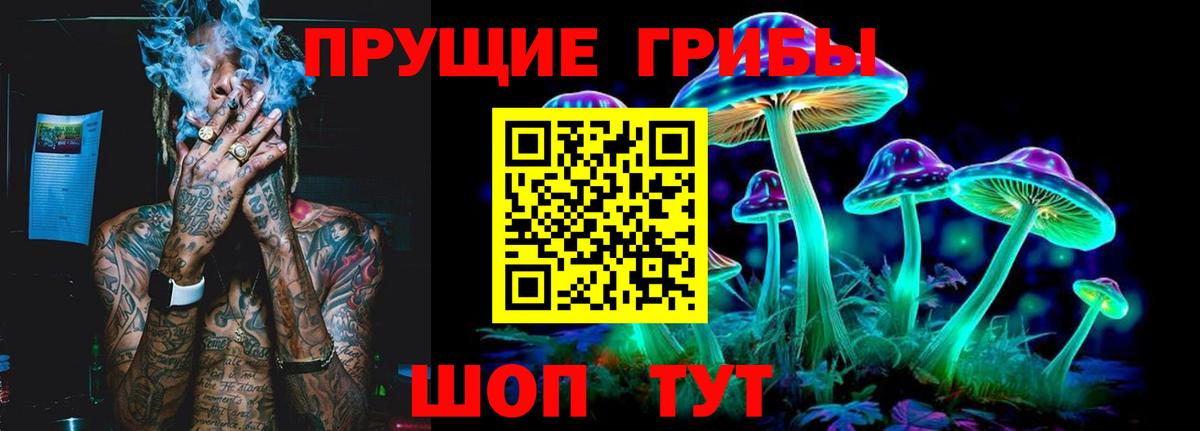 Галлюциногенные грибы Cubensis  Вход с VPN  Кольчугино 