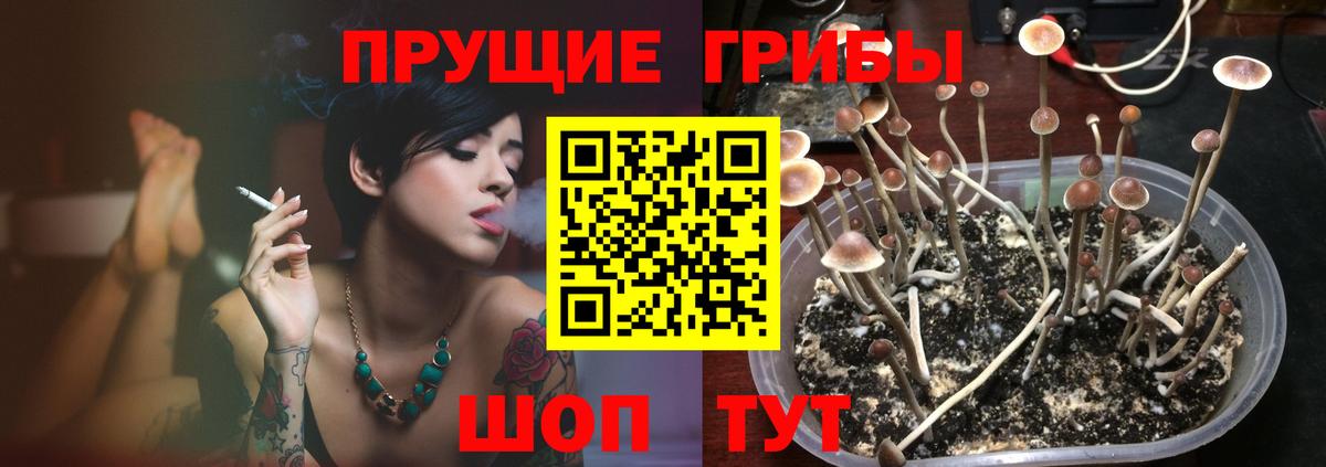 Продажа наркотиков  ЭКСТАЗИ  Бошки Шишки  Кокаин  Альфа ПВП СК кристаллы  Марихуана  ГАШ  Вход с VPN  Кольчугино  Меф   Гашиш 